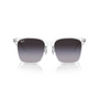 TRANSPARENTE | GRIS DEGRADE