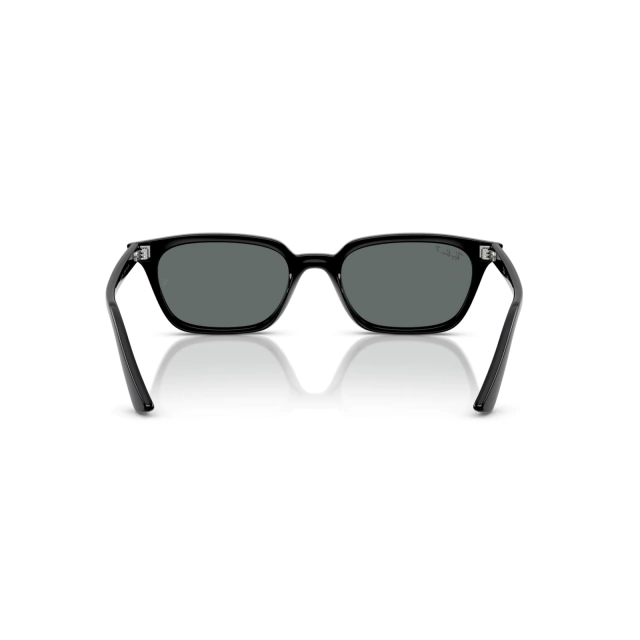 RB 4456 ZAYA®