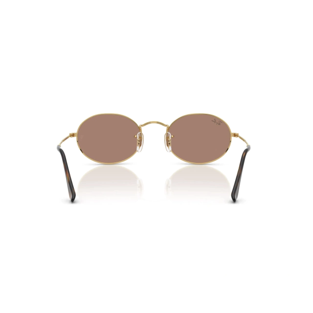 RB 3547N OVAL EVOLVE®