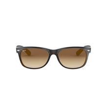CAREY | MARRON