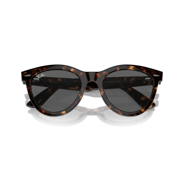 RB 2241 WAYFARER WAY®