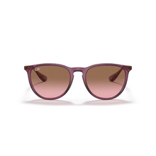 PURPURA | MARRON DEGRADE