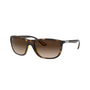 CAREY | MARRON DEGRADE