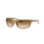 BEIGE | MARRON DEGRADE