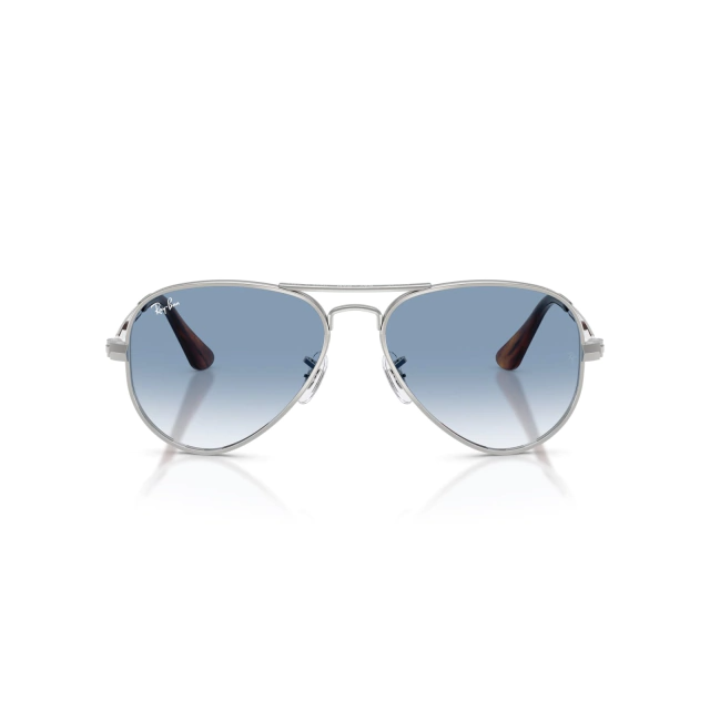 RB 3925 AVIATOR MAX®