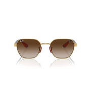 DORADO | MARRON DEGRADE