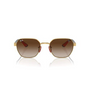 DORADO | MARRON DEGRADE