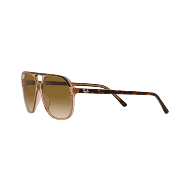 RB 2198 BILL®