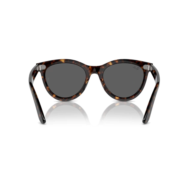 RB 2241 WAYFARER WAY®