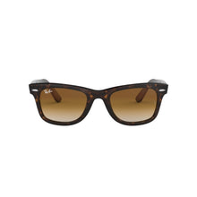 CAREY | MARRON DEGRADE