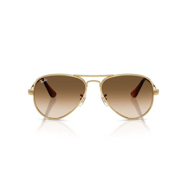 RB 3925 AVIATOR MAX®