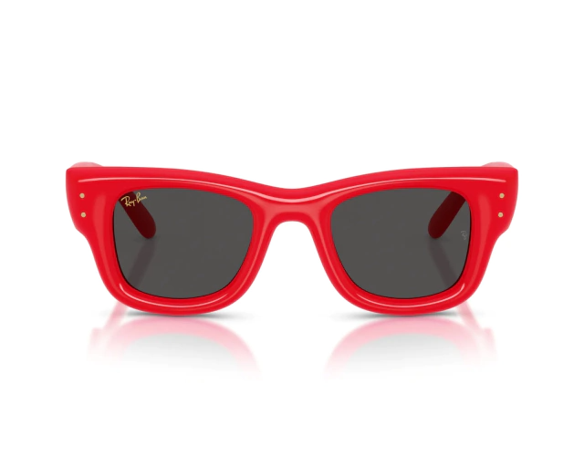 RB 4940 ASAP ROCKY WAYFARER®