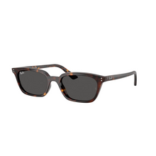 RB 4456 ZAYA®
