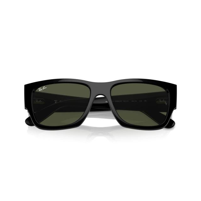 RB 0947S CARLOS®