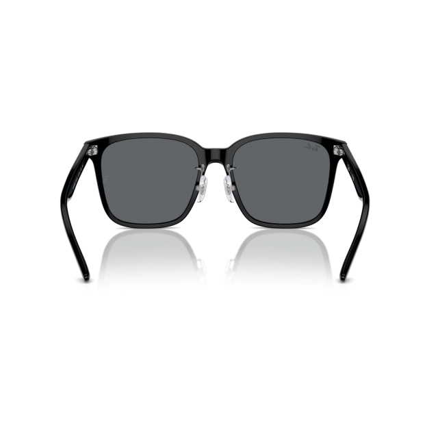RB 2206D®