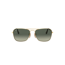 DORADO | GRIS DEGRADE