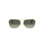 DORADO | GRIS DEGRADE