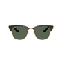 CAREY | VERDE