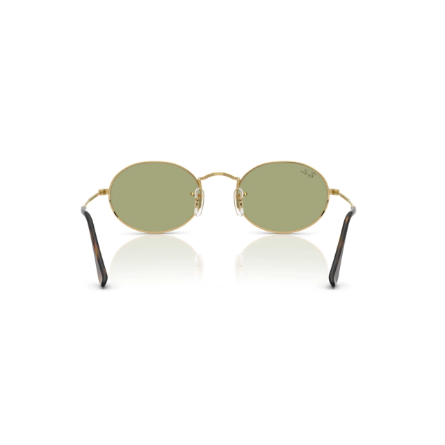 RB 3547N OVAL EVOLVE®